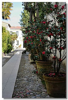 102.JPG