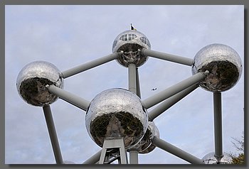 15.JPG