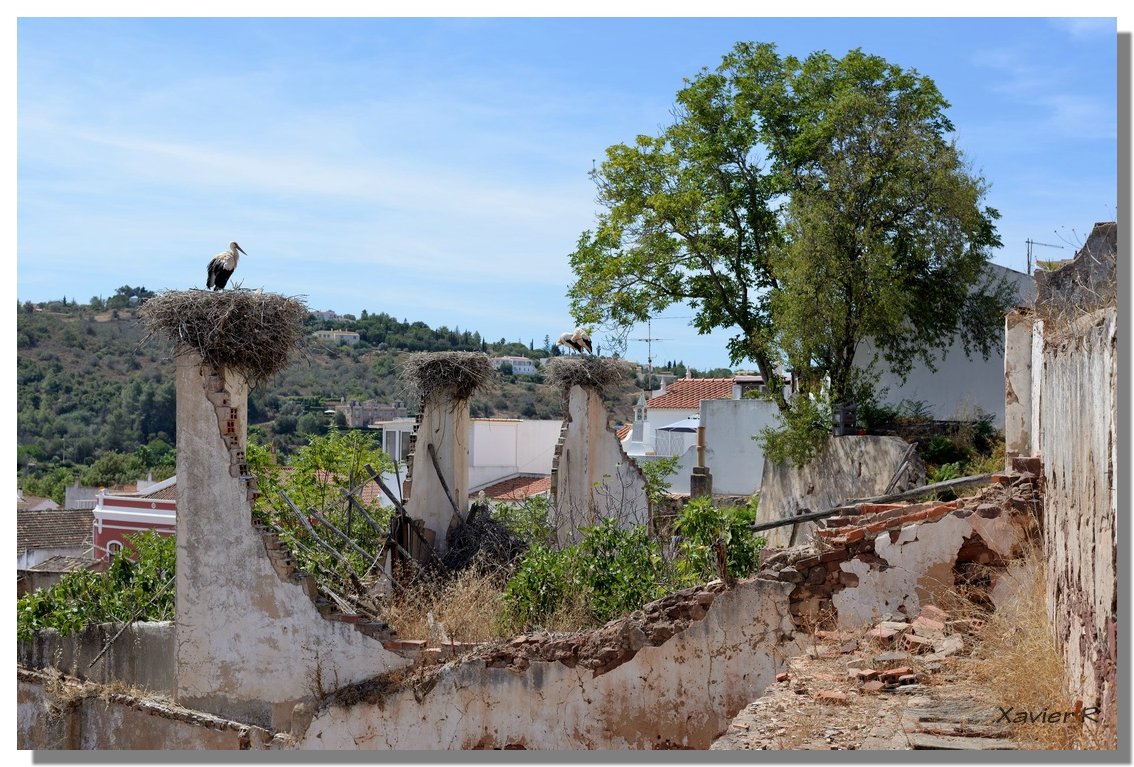 212-Silves.JPG