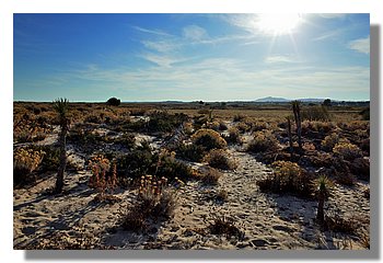 130-Praia Do Barril.JPG