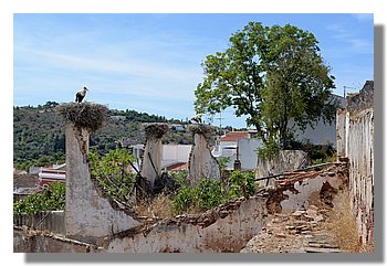 212-Silves.JPG