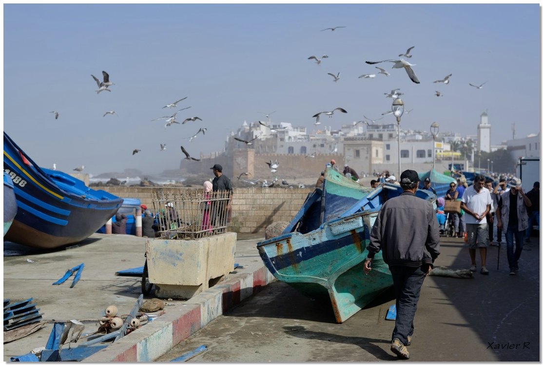 02-Essaouira.JPG