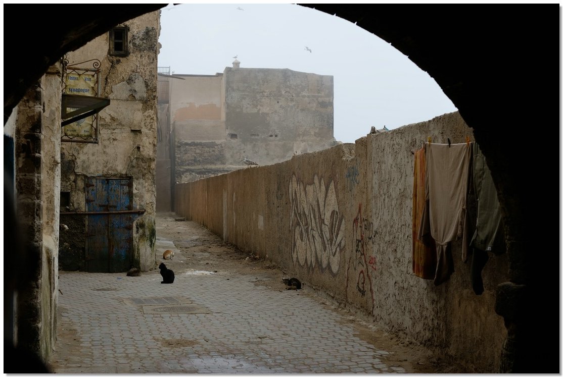 03-Essaouira.JPG