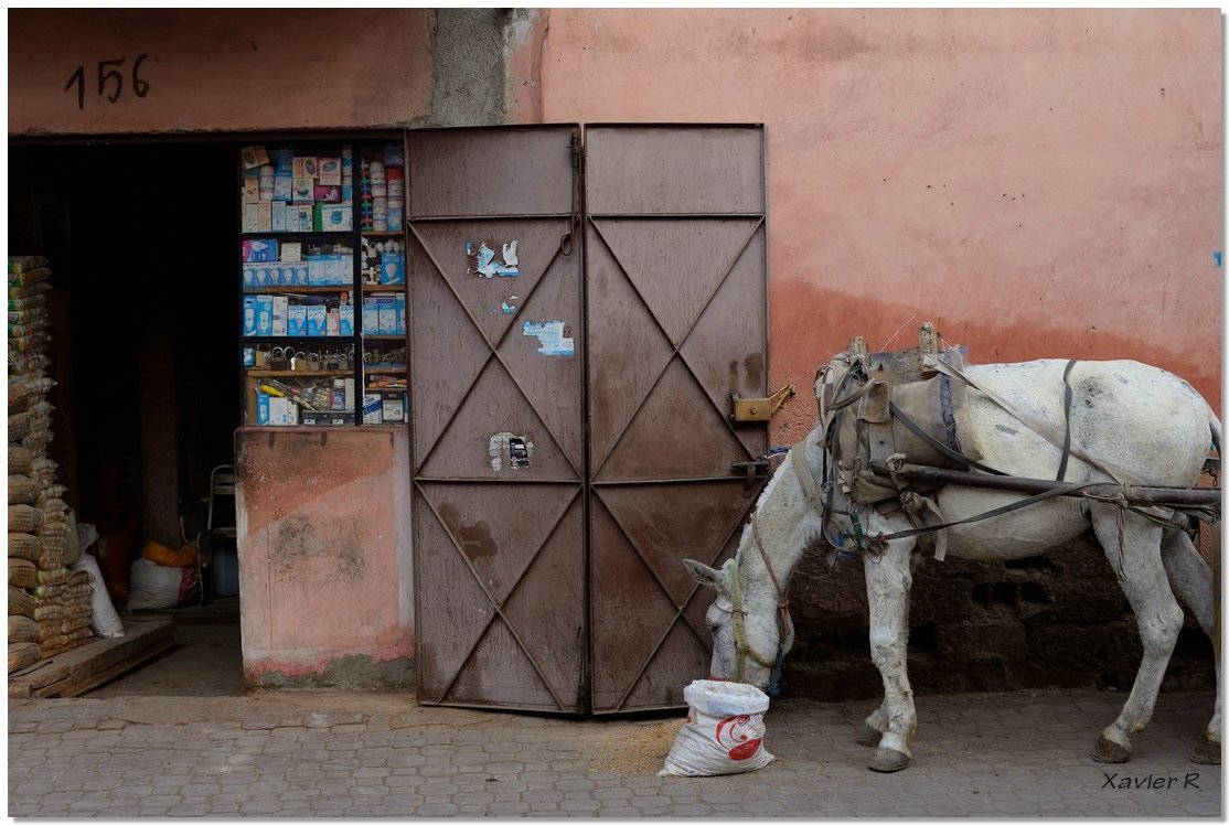 21-Marrakech.JPG