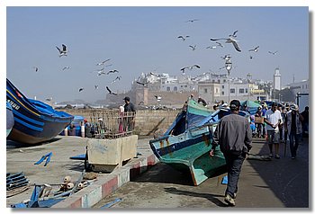 02-Essaouira.JPG