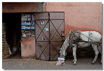 21-Marrakech.JPG