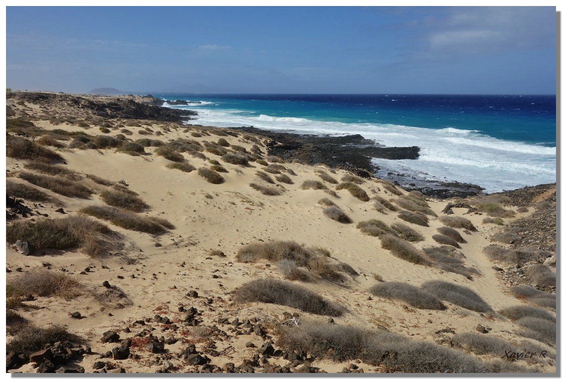 205-Corralejo.JPG
