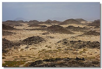 193-Isla de Lobos.JPG