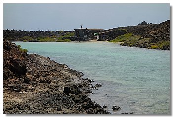 197-Isla de Lobos.JPG