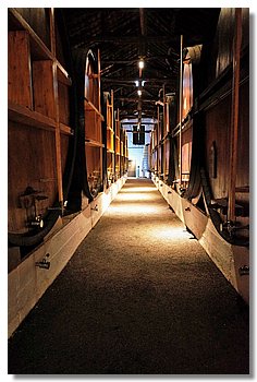 16.JPG