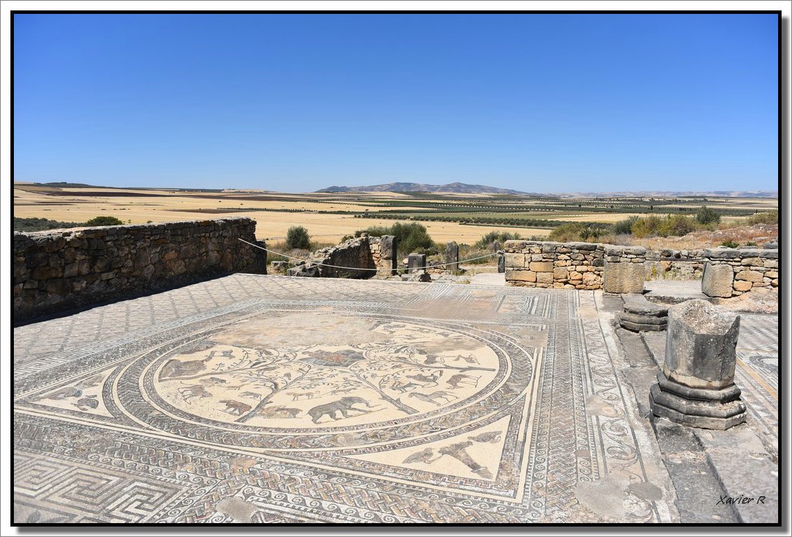 045-Volubilis.JPG