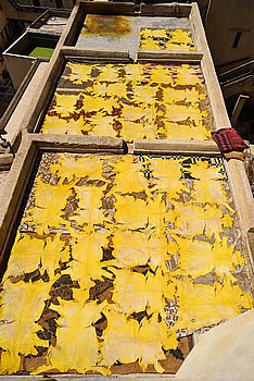 085-Fs.JPG