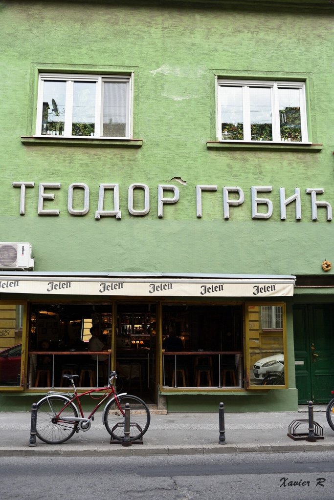 250-Novi Sad.JPG