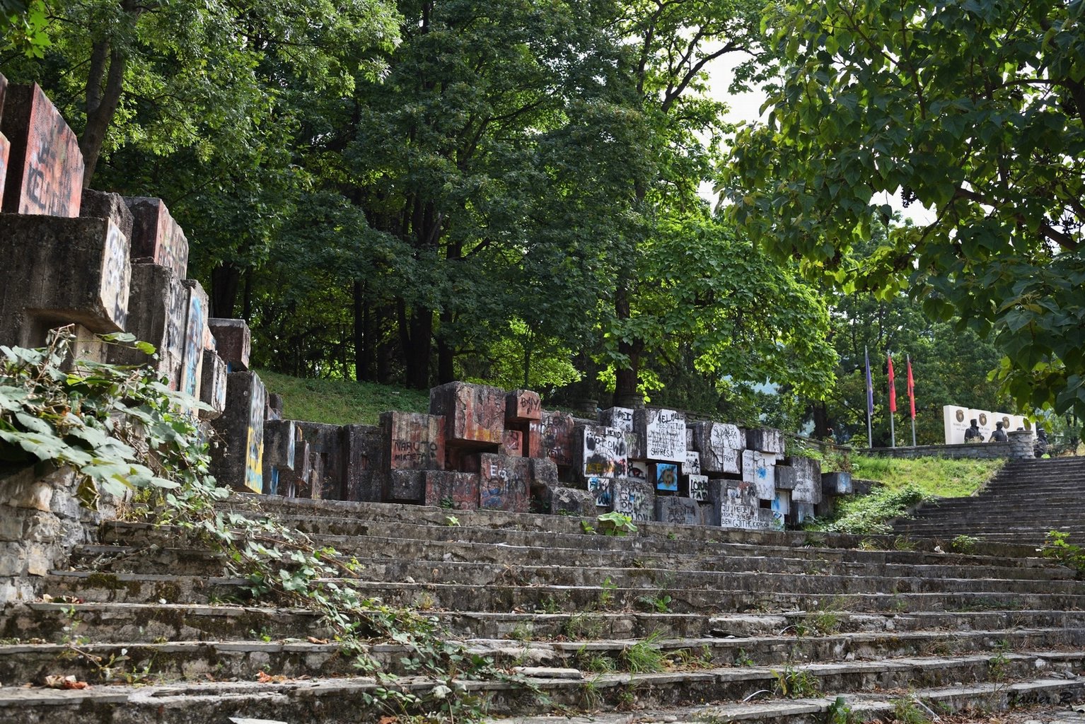 292-Pec.JPG