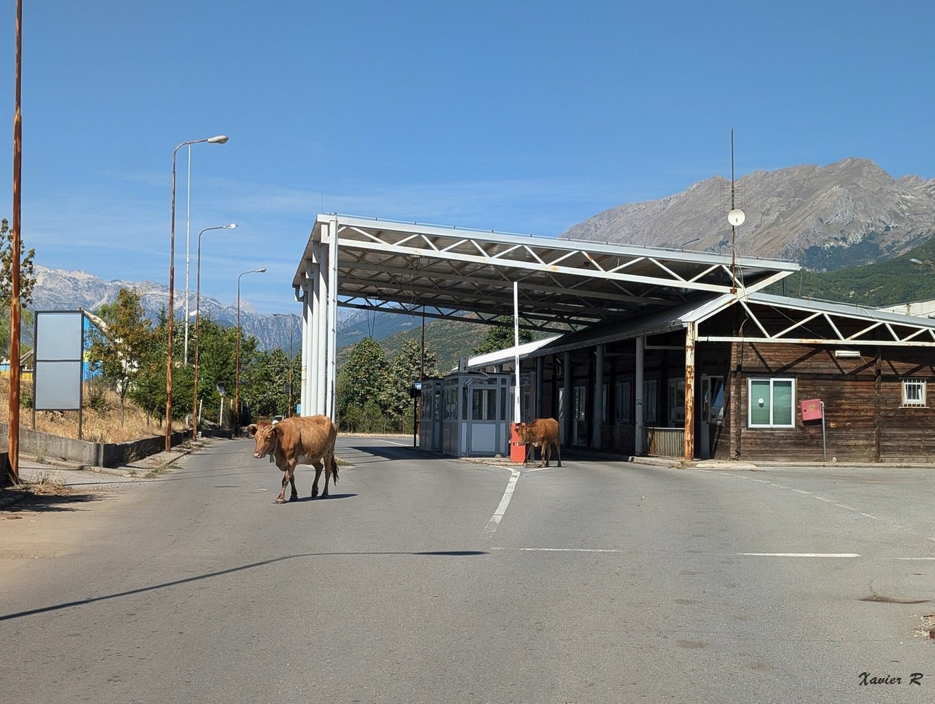 331-Albanie.jpg