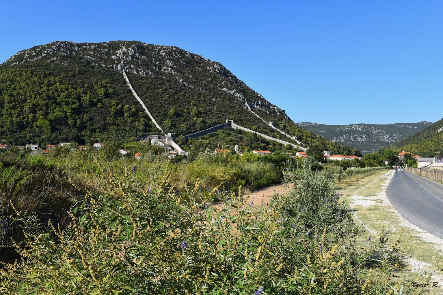 441-Ston.JPG