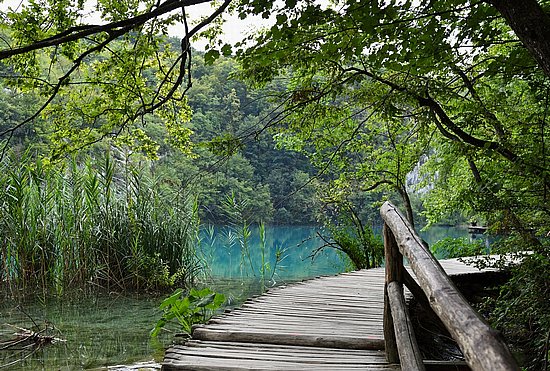 470-Lacs de Plitvice.JPG